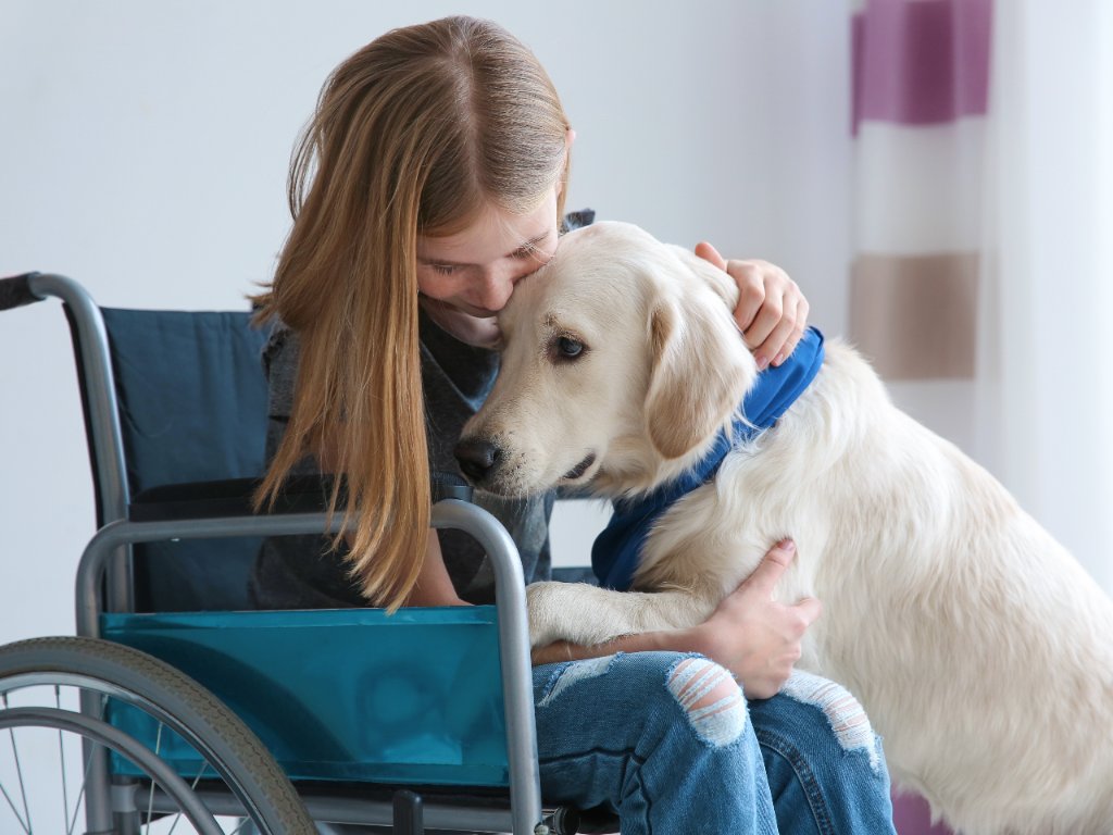 Ada compliance service store dogs